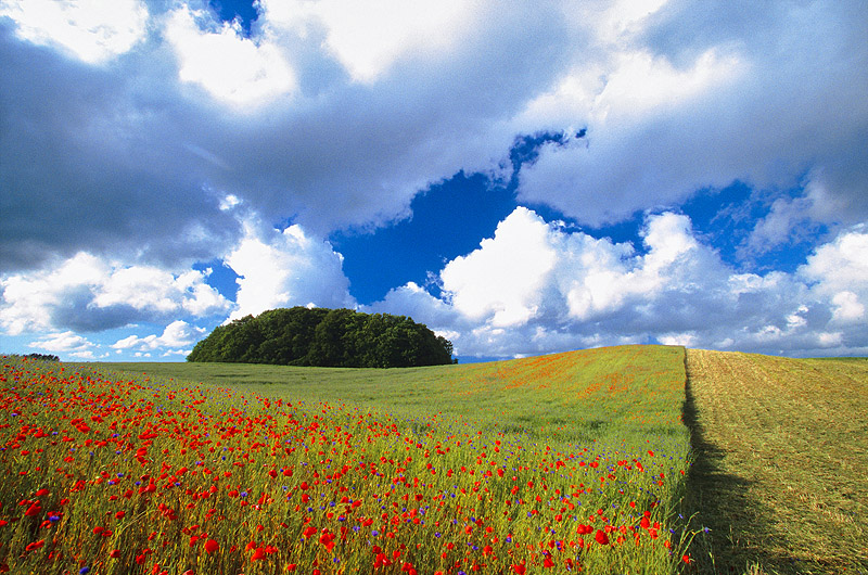 zur Übersicht Muttland 1