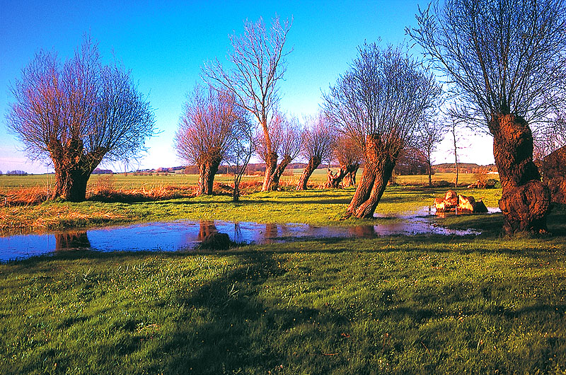 zur Übersicht Muttland 1