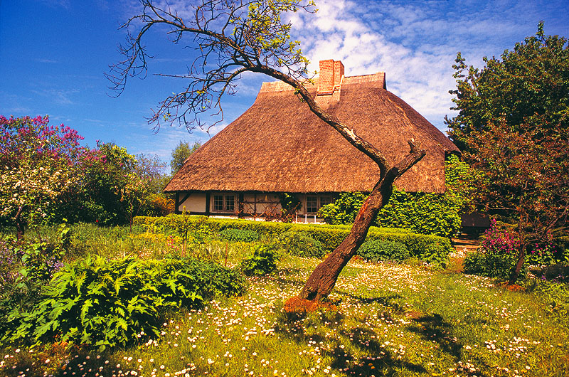 zur Übersicht Muttland 1