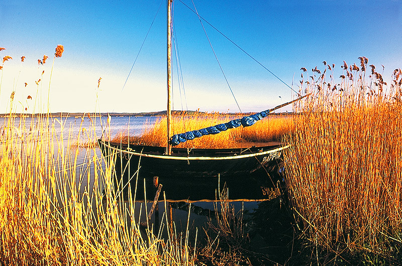 zur Übersicht Muttland 2