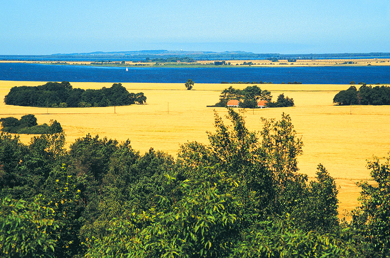 zur Übersicht Muttland 3