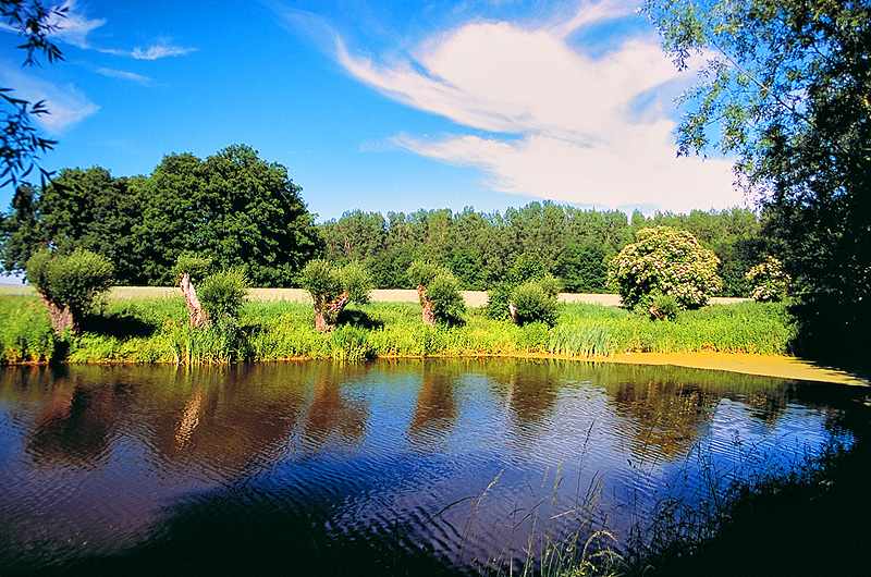 zur Übersicht Muttland 3