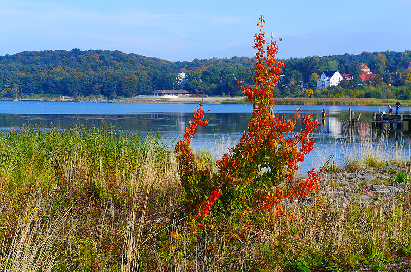 zur Übersicht Muttland 3