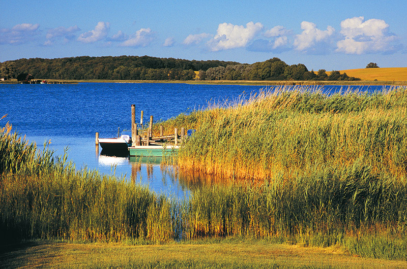 zur Übersicht Muttland 4