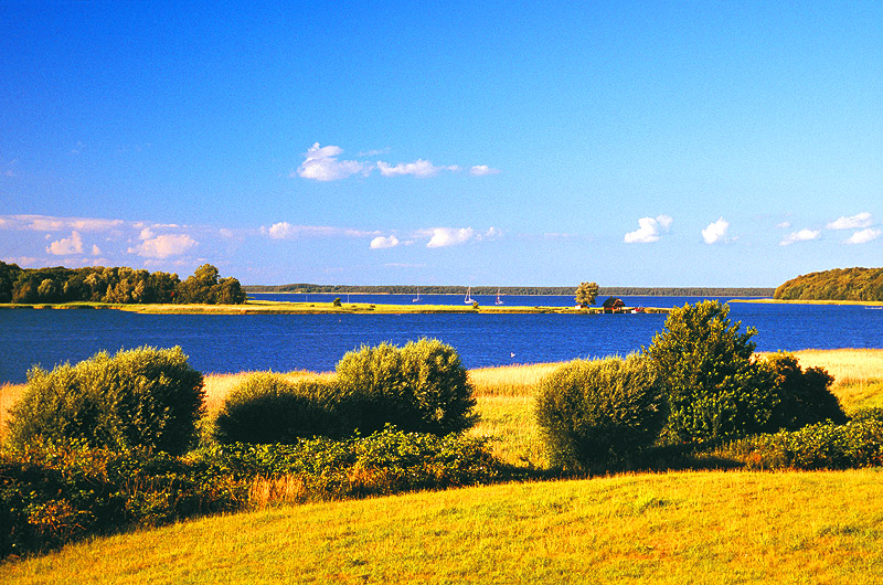 zur Übersicht Muttland 4