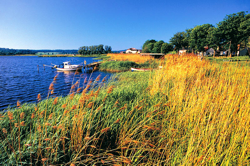 zur Übersicht Muttland 4