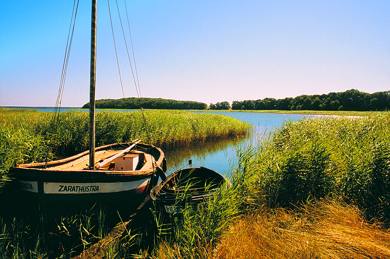 zur Übersicht Muttland 4