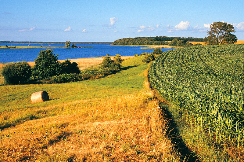 zur Übersicht Muttland 4