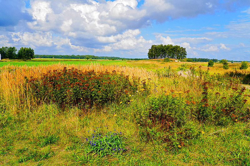 zur Übersicht Muttland 5