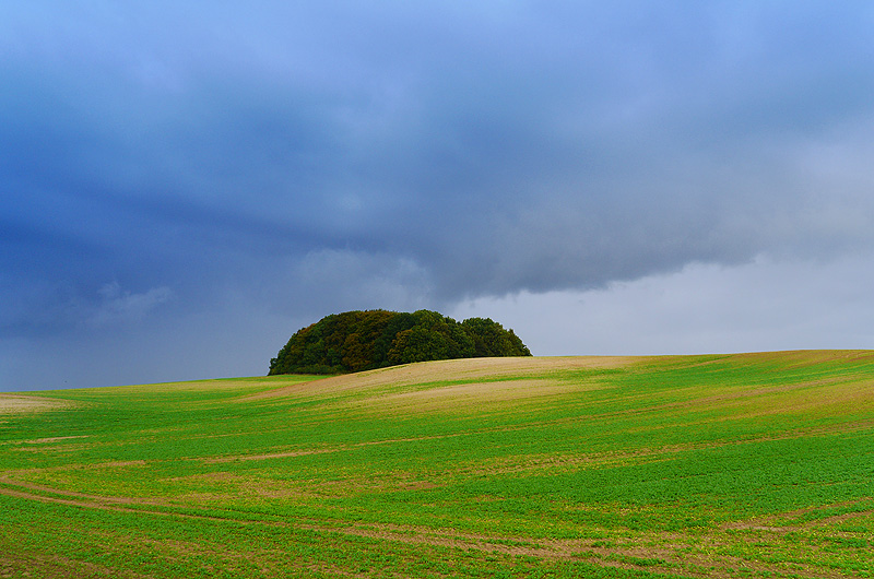 zur Übersicht Muttland 5