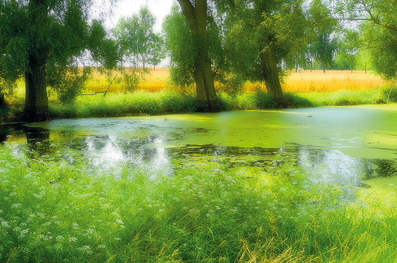 zur Übersicht Muttland 5