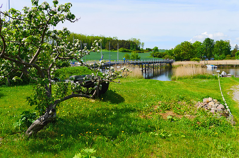 zur Übersicht Muttland 6