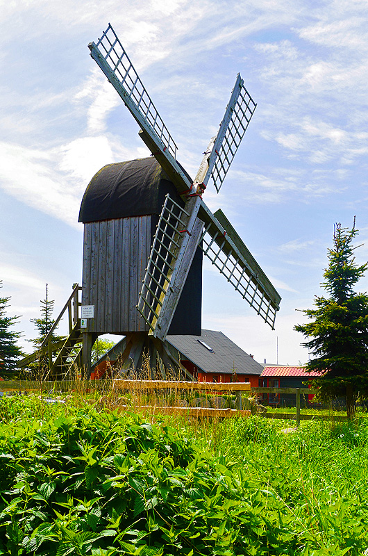 zur Übersicht Muttland 6