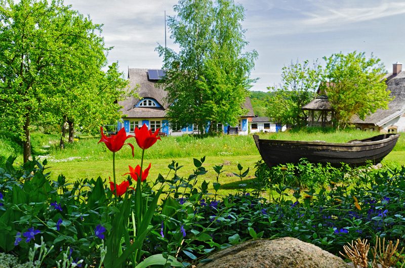 zur Übersicht Muttland 6