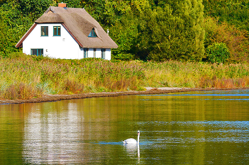 zur Übersicht Muttland 6