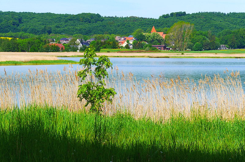zur Übersicht Muttland 6