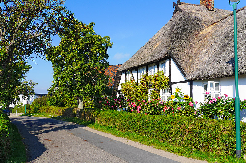 zur Übersicht Muttland 6