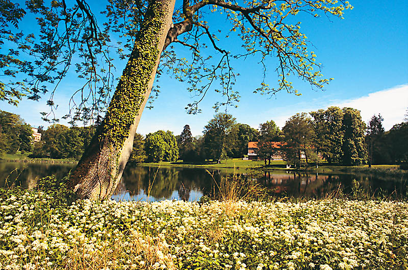 zur Übersicht Putbus 2