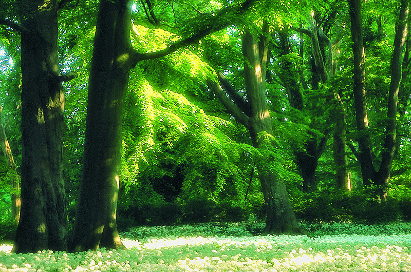 zur Übersicht Putbus 3