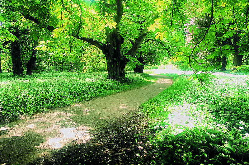 zur Übersicht Putbus 3