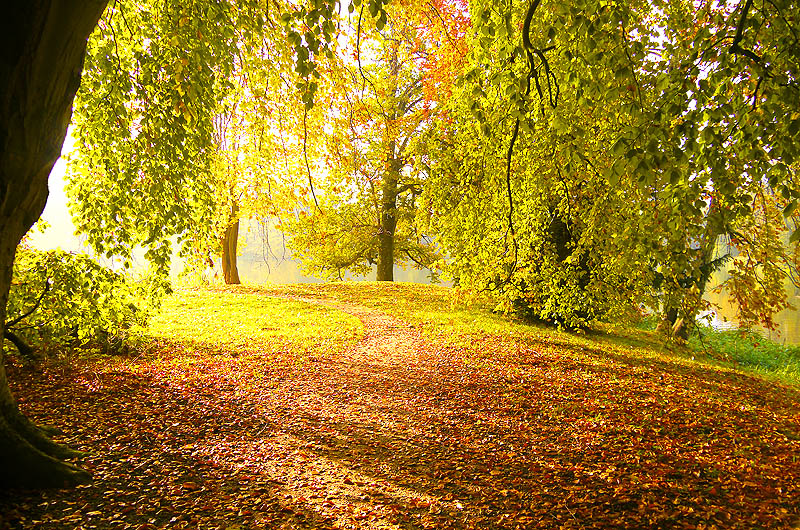 zur Übersicht Putbus 4