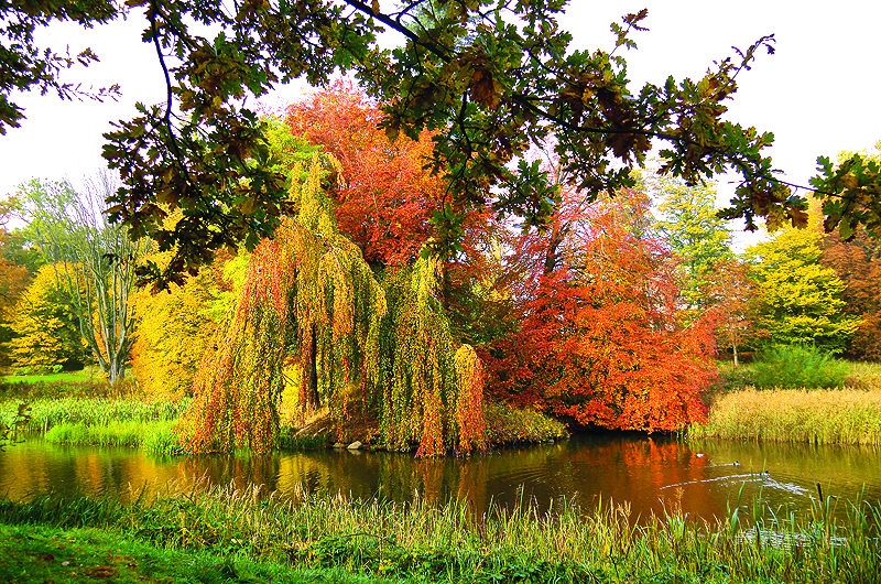 zur Übersicht Putbus 4