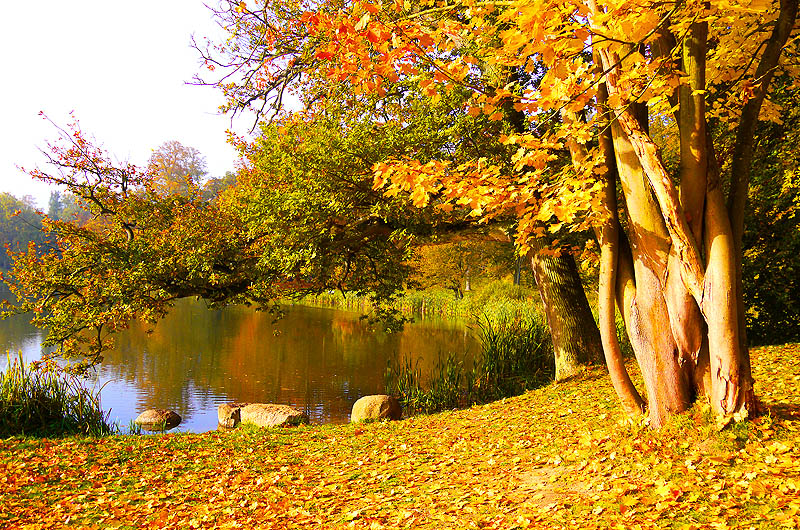 zur Übersicht Putbus 4