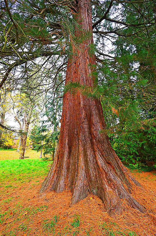 zur Übersicht Putbus 5