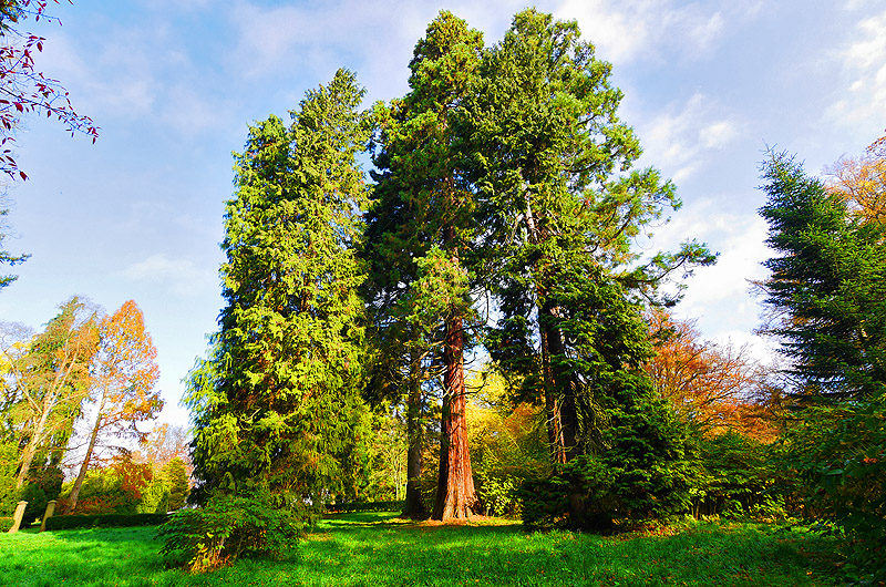zur Übersicht Putbus 5