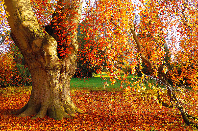 zur Übersicht Putbus 5