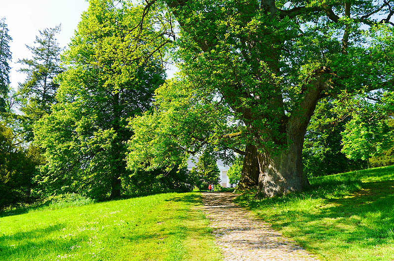 zur Übersicht Putbus 5