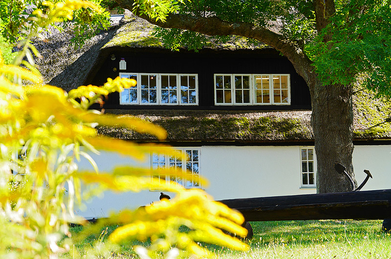 zur Übersicht Rings ums Reet 1