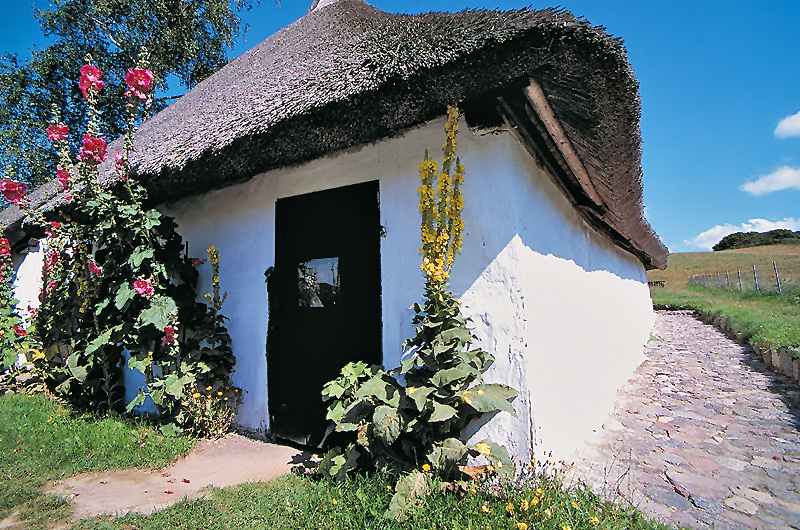 zur Übersicht Rings ums Reet 1