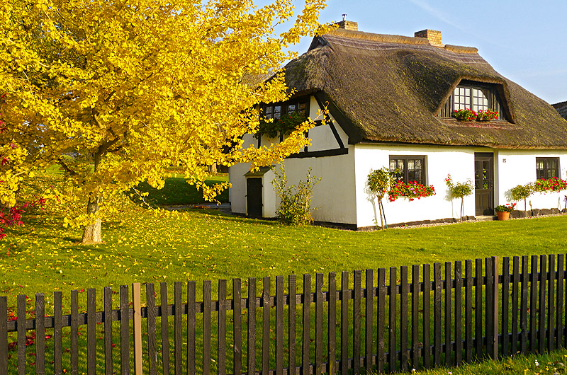zur Übersicht Rings ums Reet 1