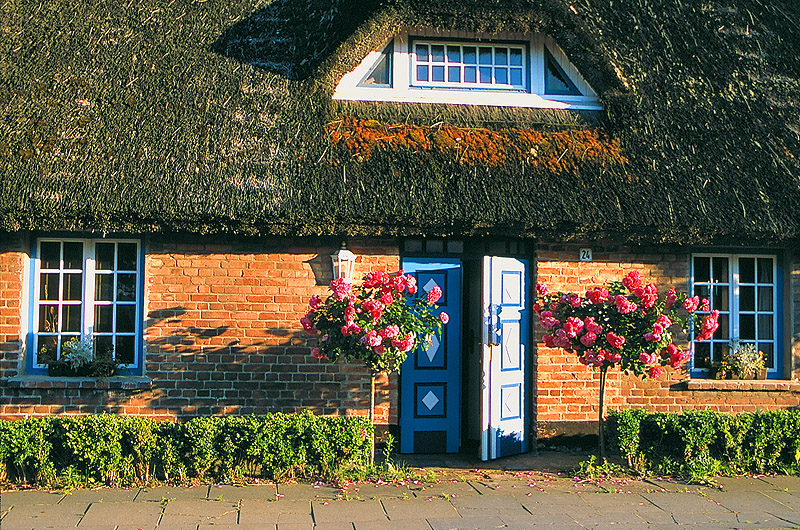 zur Übersicht Rings ums Reet 1