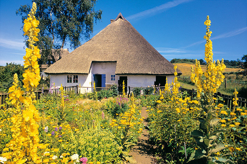 zur Übersicht Rings ums Reet 1