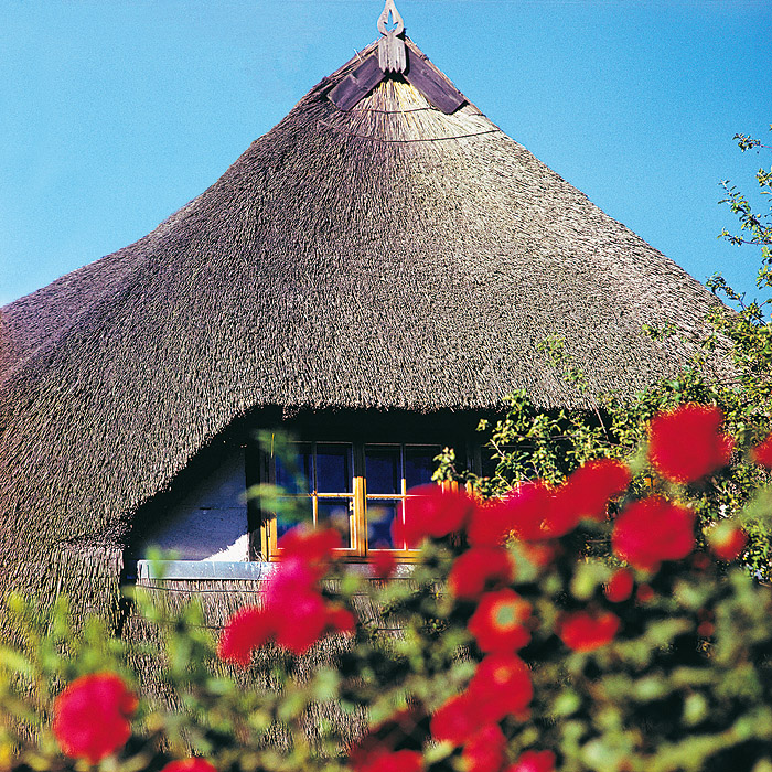 zur Übersicht Rings ums Reet 2