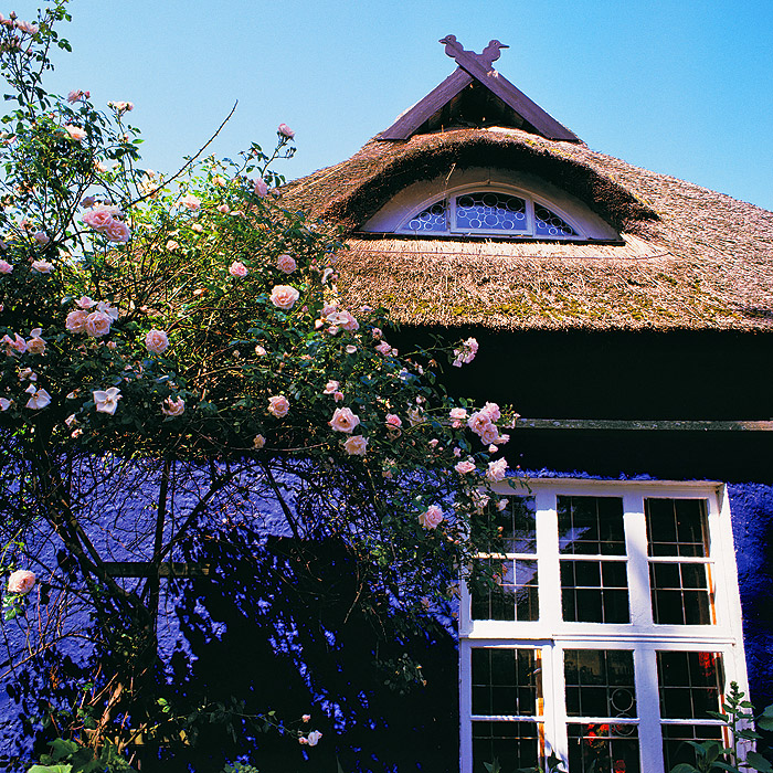 zur Übersicht Rings ums Reet 2