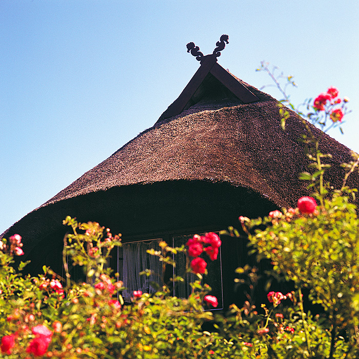 zur Übersicht Rings ums Reet 2