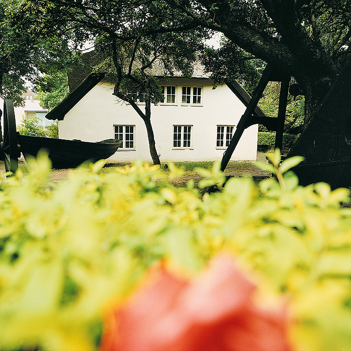 zur Übersicht Rings ums Reet 2