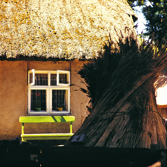 zur Übersicht Rings ums Reet 2