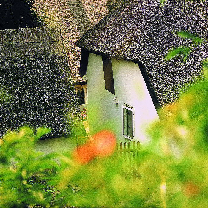 zur Übersicht Rings ums Reet 2