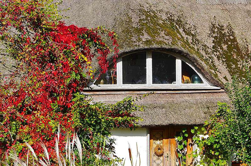 zur Übersicht Rings ums Reet 3