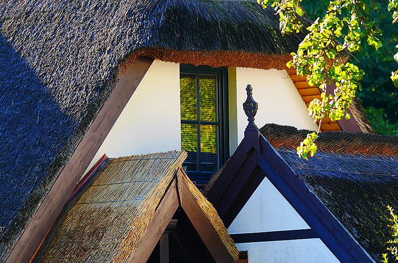 zur Übersicht Rings ums Reet 3