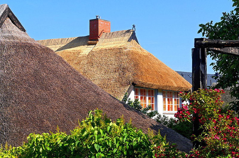 zur Übersicht Rings ums Reet 3