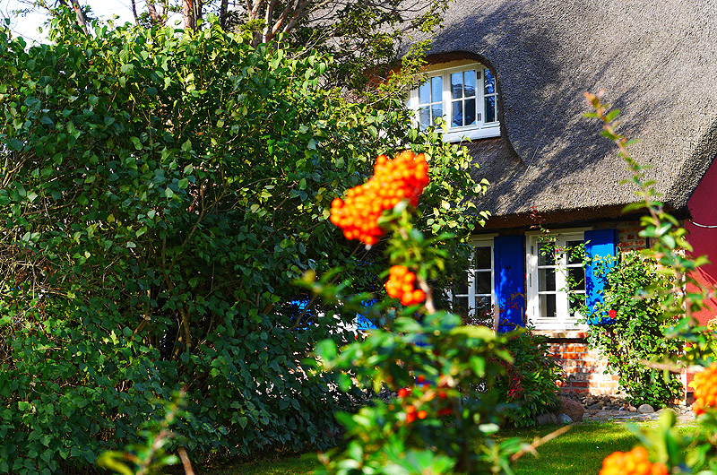 zur Übersicht Rings ums Reet 3