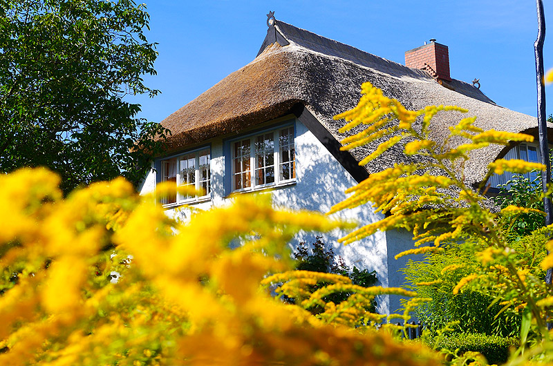 zur Übersicht Rings ums Reet 3