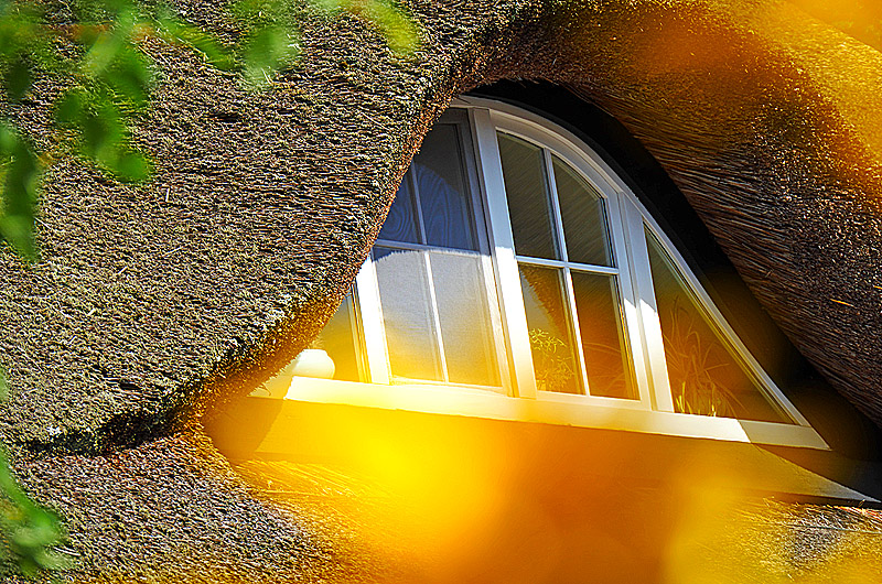 zur Übersicht Rings ums Reet 4