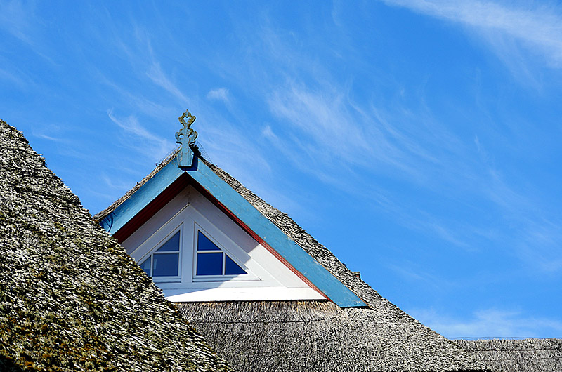 zur Übersicht Rings ums Reet 4