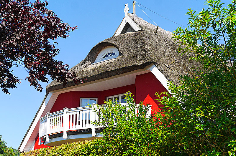 zur Übersicht Rings ums Reet 4